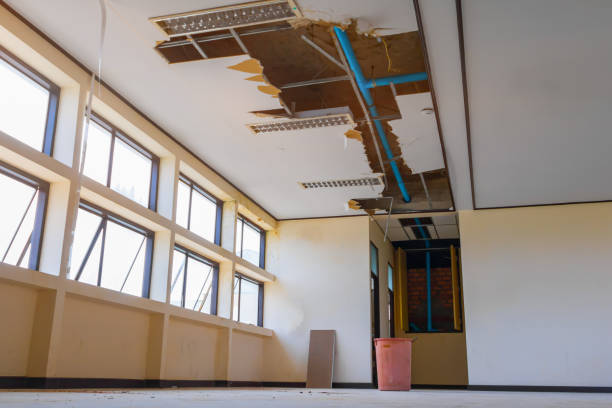 Best Water damage restoration near me  in Los Fresnos, TX