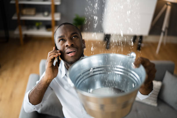 Best Water damage restoration near me  in Los Fresnos, TX