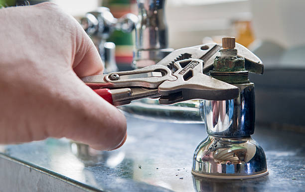 Best Mold removal after water damage  in Los Fresnos, TX
