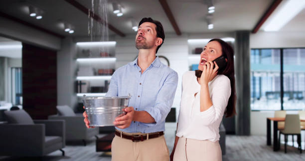 Best Residential water damage restoration  in Los Fresnos, TX